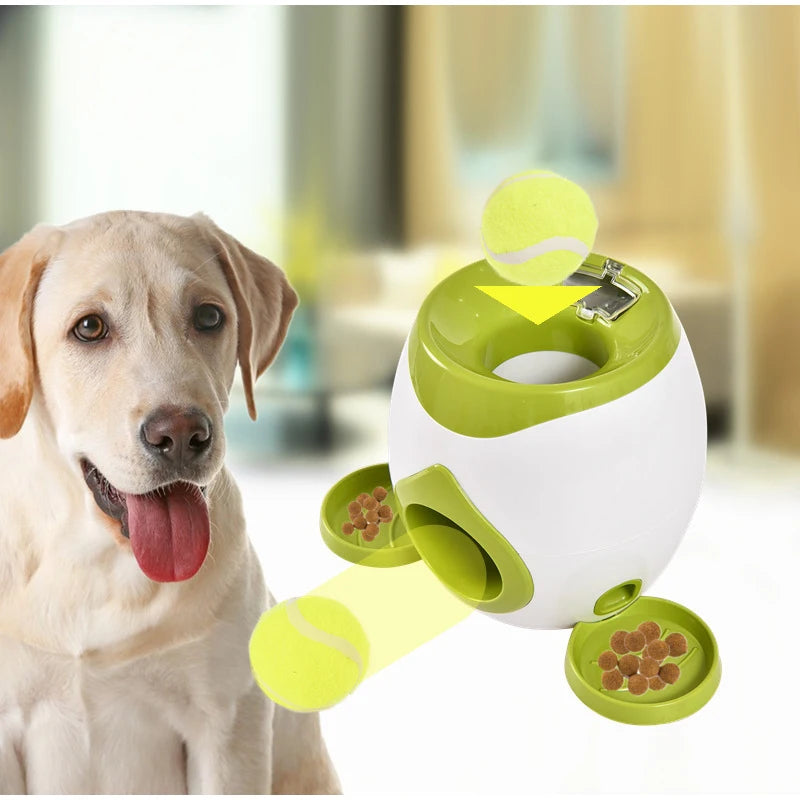 Interaktives Puzzle Hundespielzeug