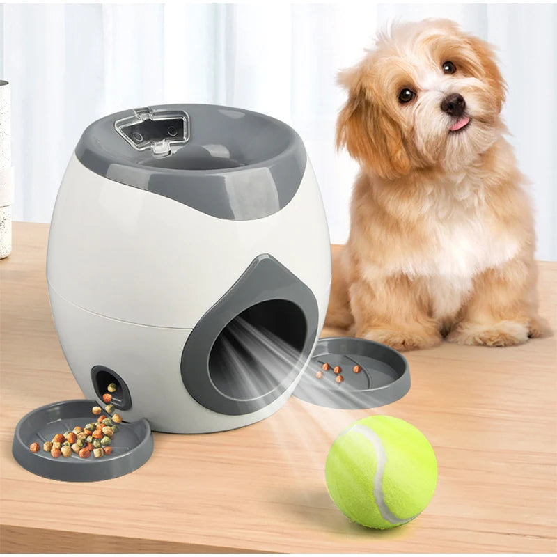 Interaktives Puzzle Hundespielzeug