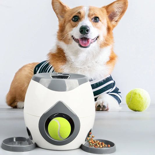 Interaktives Puzzle Hundespielzeug